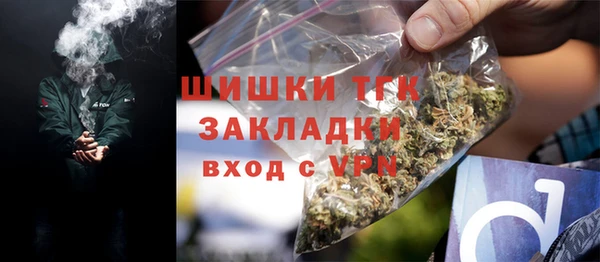 тгк Няндома