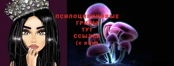 бутират Нязепетровск