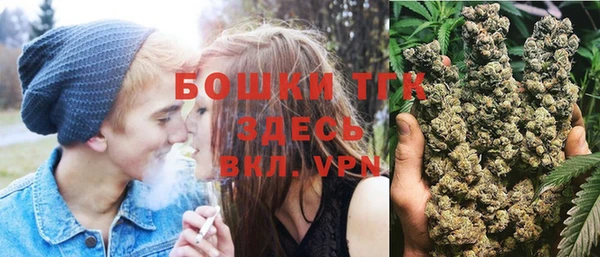 тгк Няндома