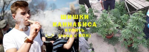 тгк Няндома