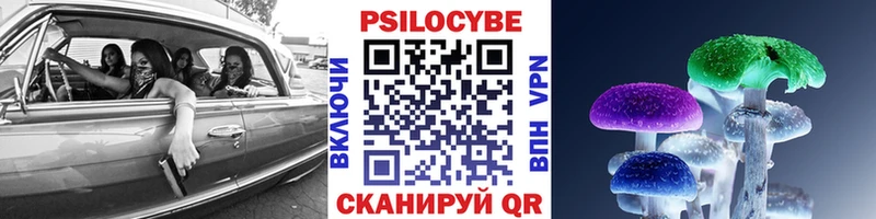 Галлюциногенные грибы Psilocybe  Купить где  Советск 